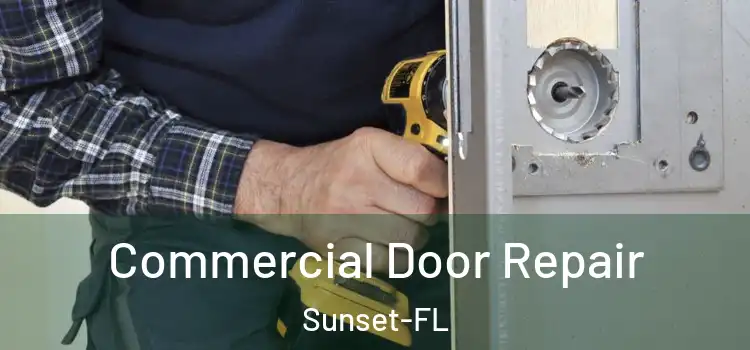 Commercial Door Repair Sunset-FL