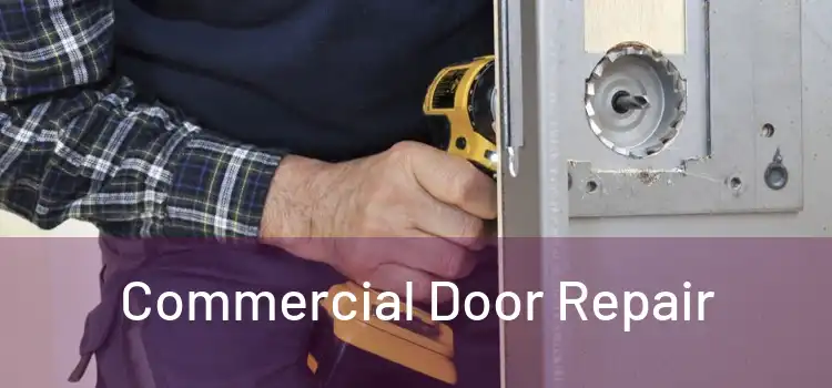 Commercial Door Repair