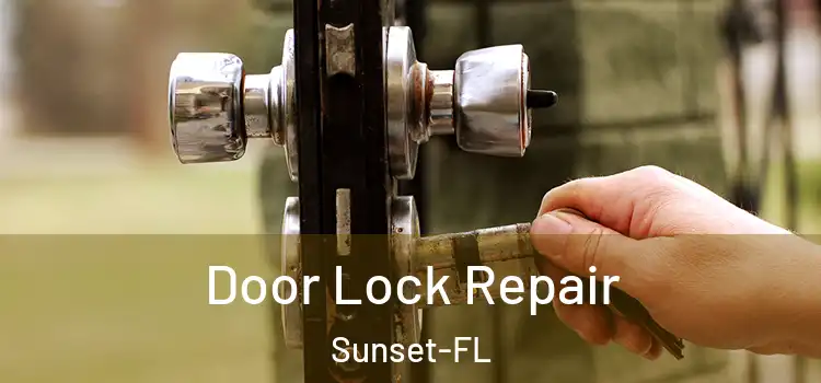  Door Lock Repair Sunset-FL