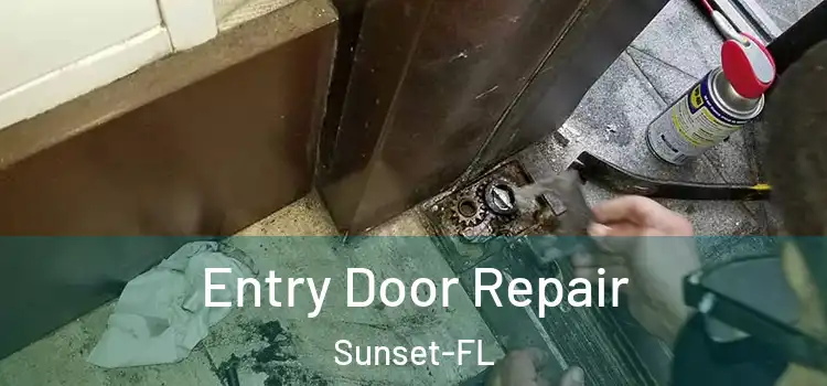  Entry Door Repair Sunset-FL