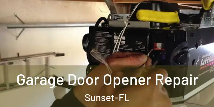  Garage Door Opener Repair Sunset-FL