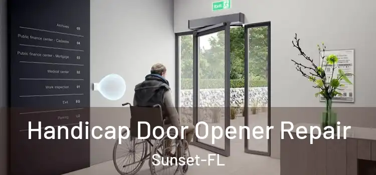  Handicap Door Opener Repair Sunset-FL