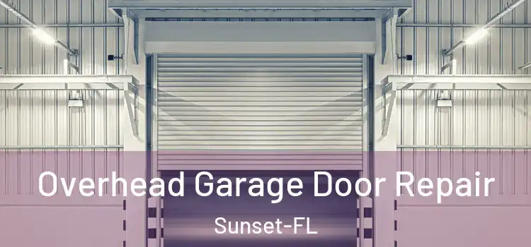  Overhead Garage Door Repair Sunset-FL