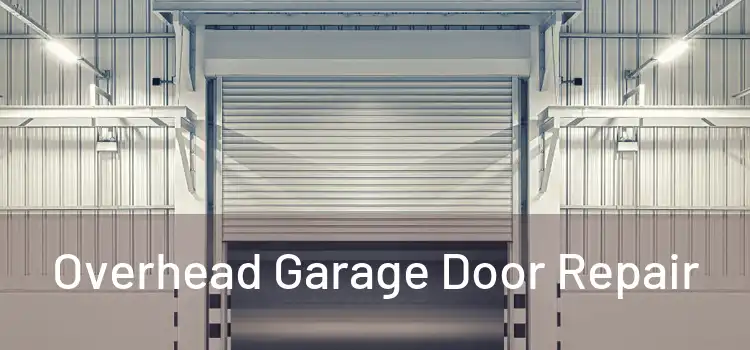  Overhead Garage Door Repair 